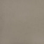 Bäddsoffa 2-sits med två kuddar ljusgrå sammet