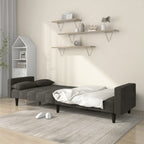 Bäddsoffa 2-sits med två kuddar mörkgrå sammet